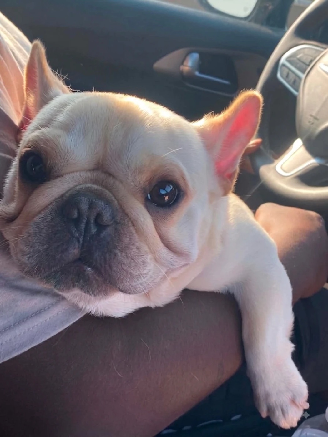 Bu Thang riding along in the car