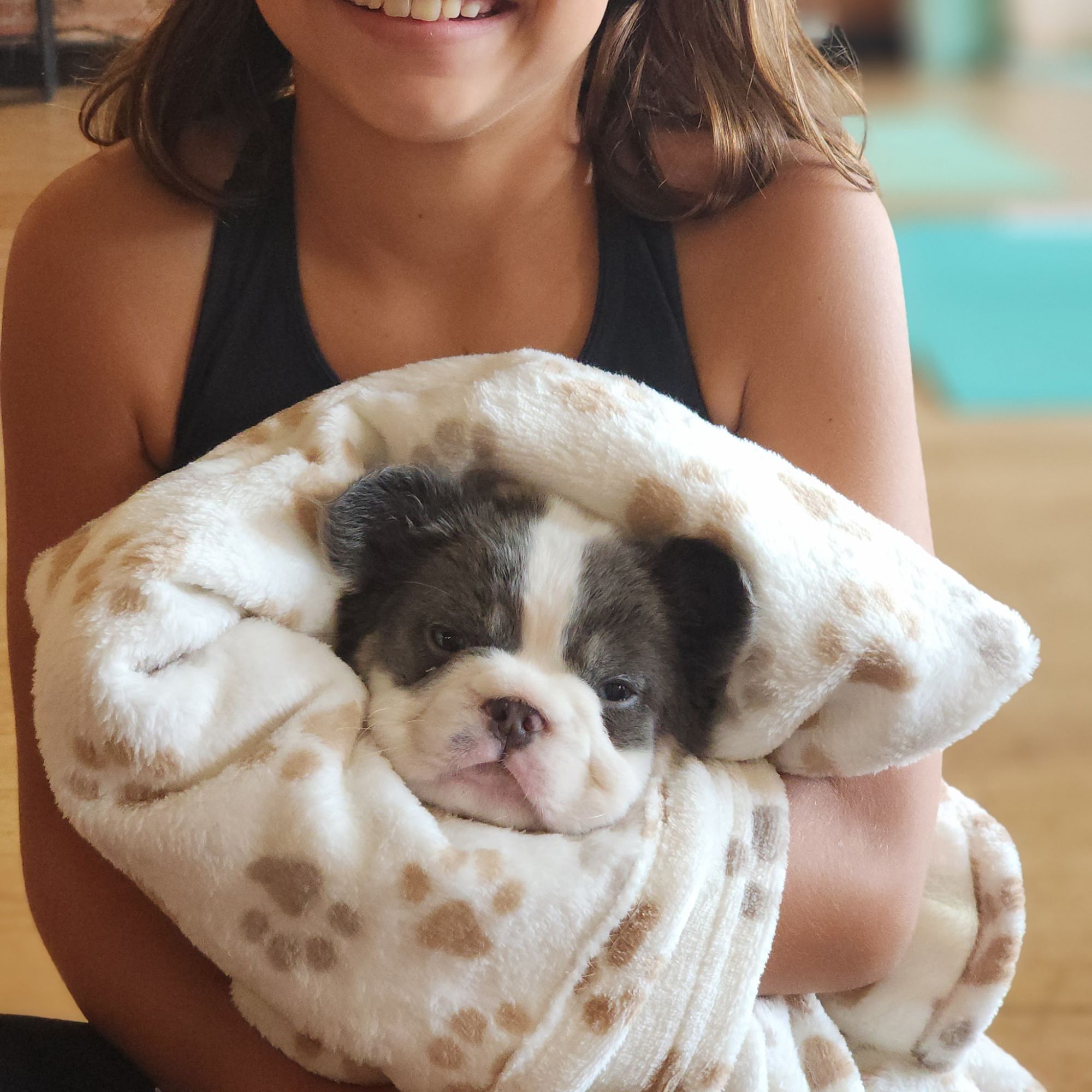 A Forever Frenchies puppy, out of Koda by Mr. Sub Zero, in their forever home