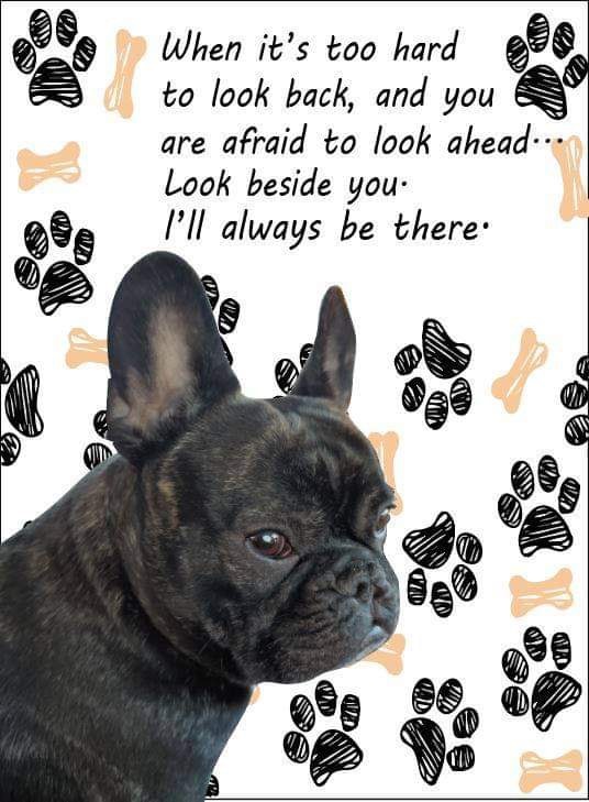 Gremmy, black brindle French Bulldog — in loving memory