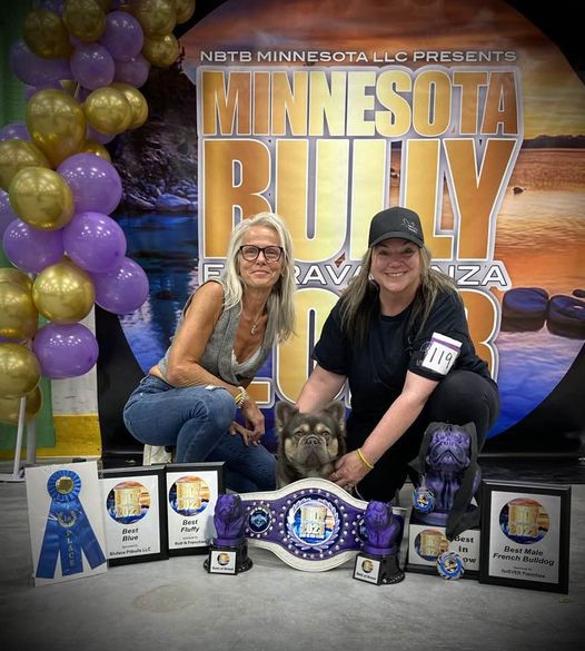 FatStax, champion Fluffy French Bulldog