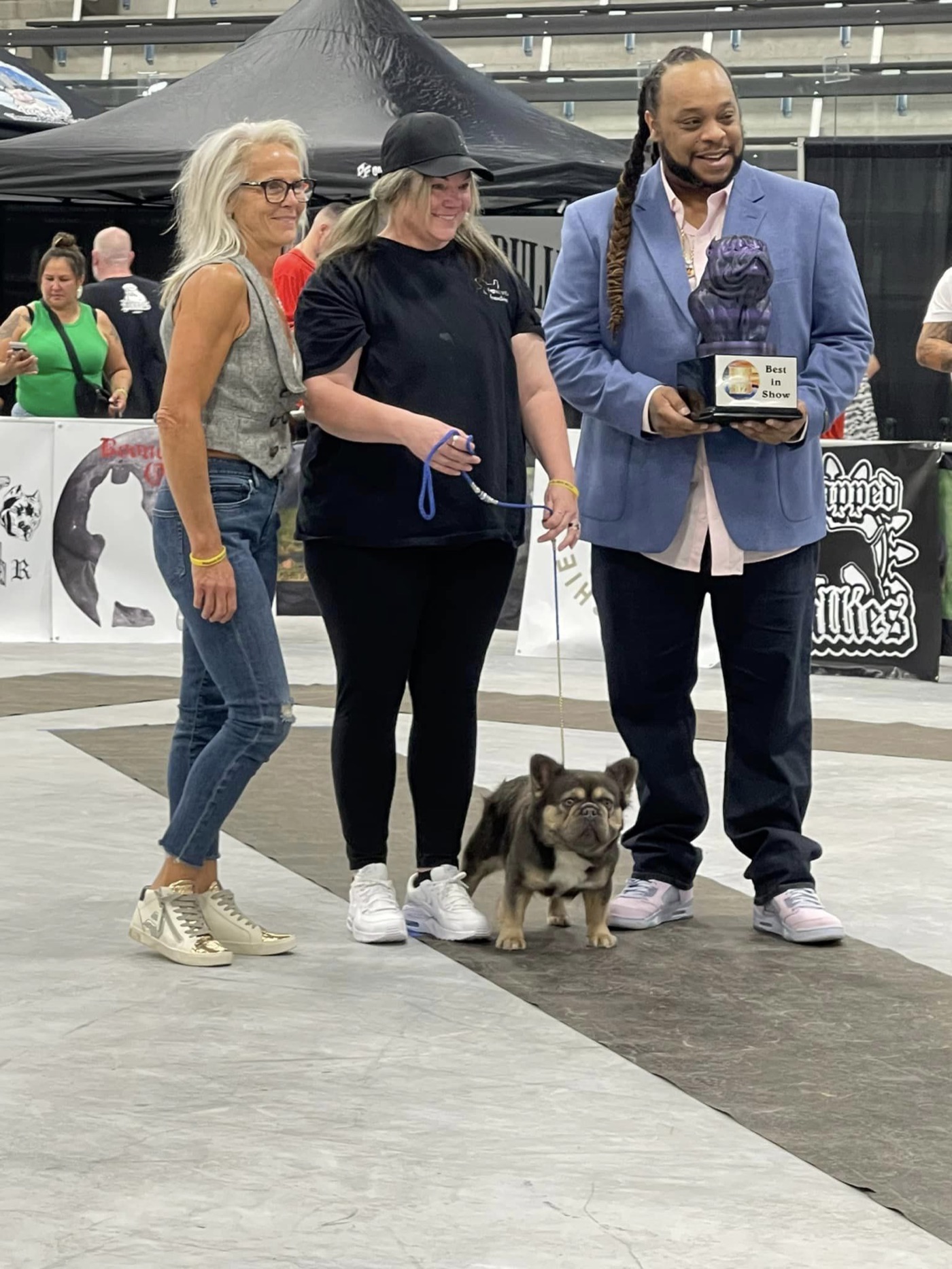 FatStax, Fluffy French Bulldog