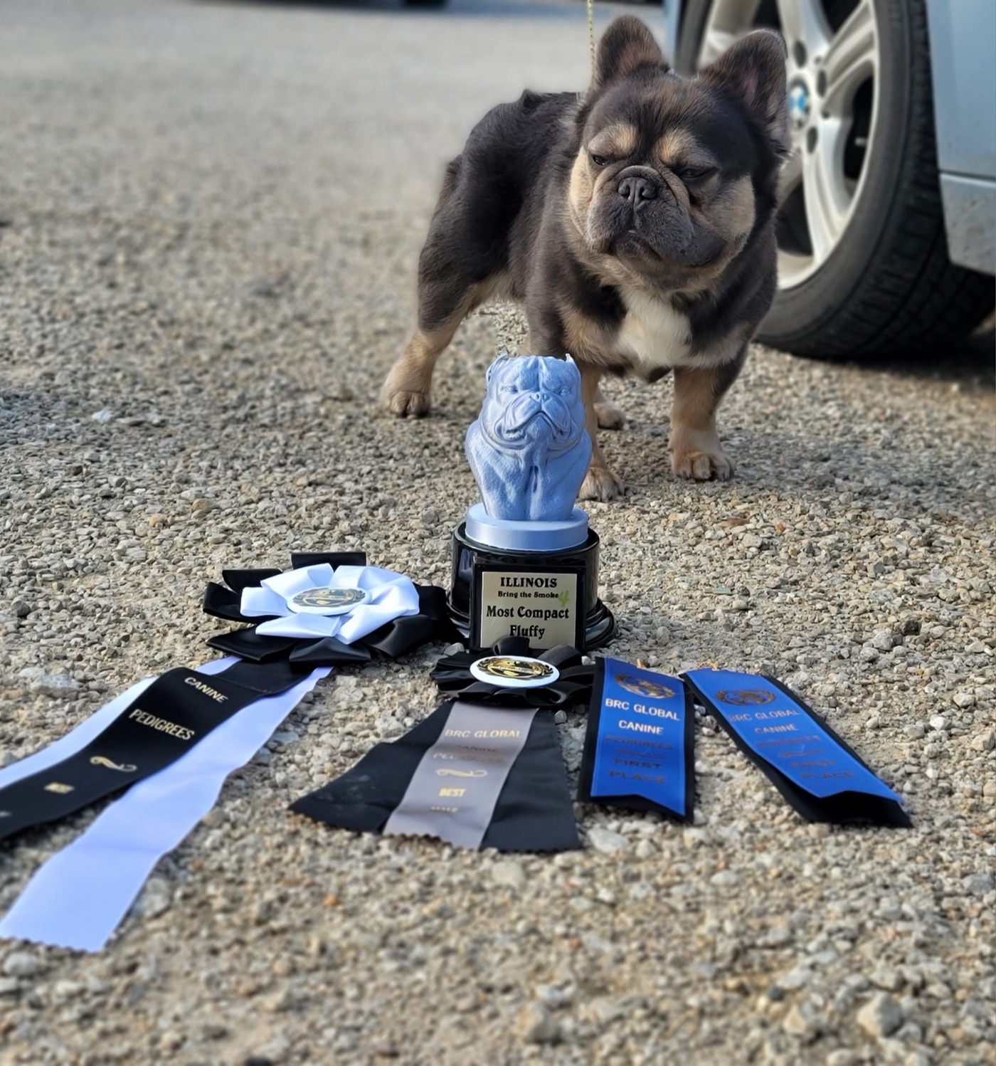 FatStax with his trophies