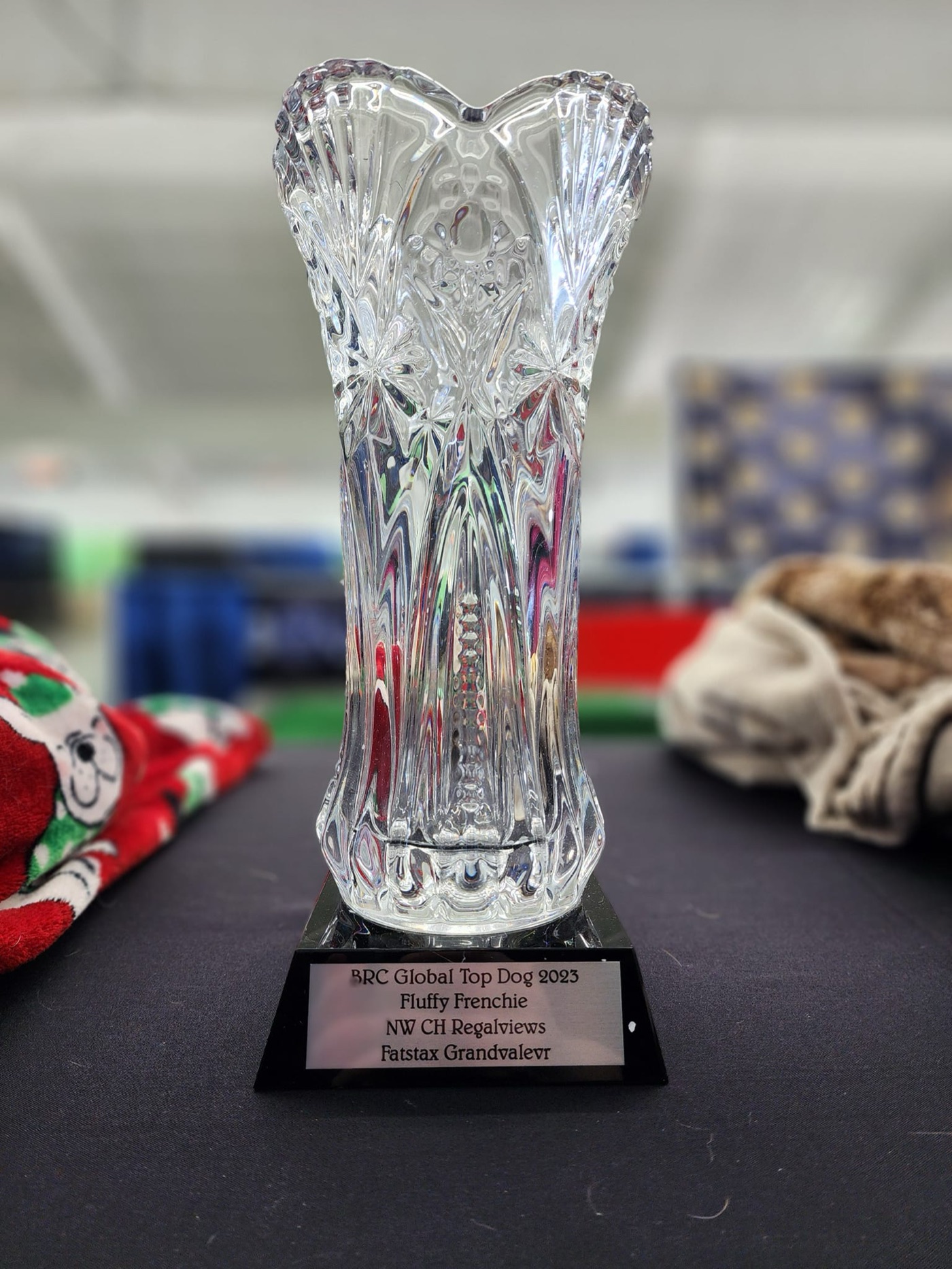 FatStax named Top Dog 2023 in the Fluffy category