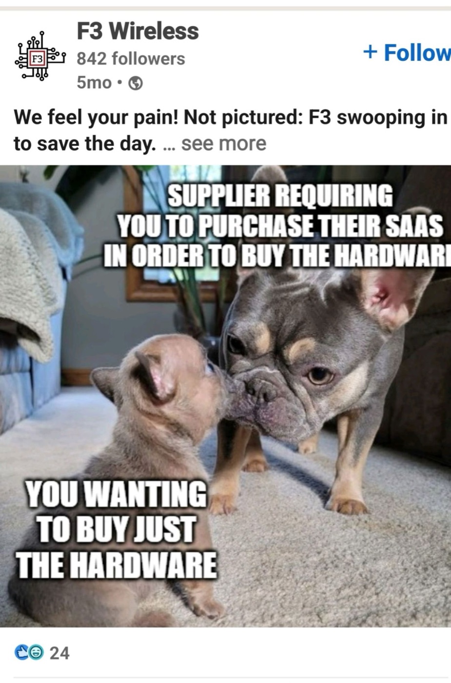 Xena and her puppy in an F3 Wireless post