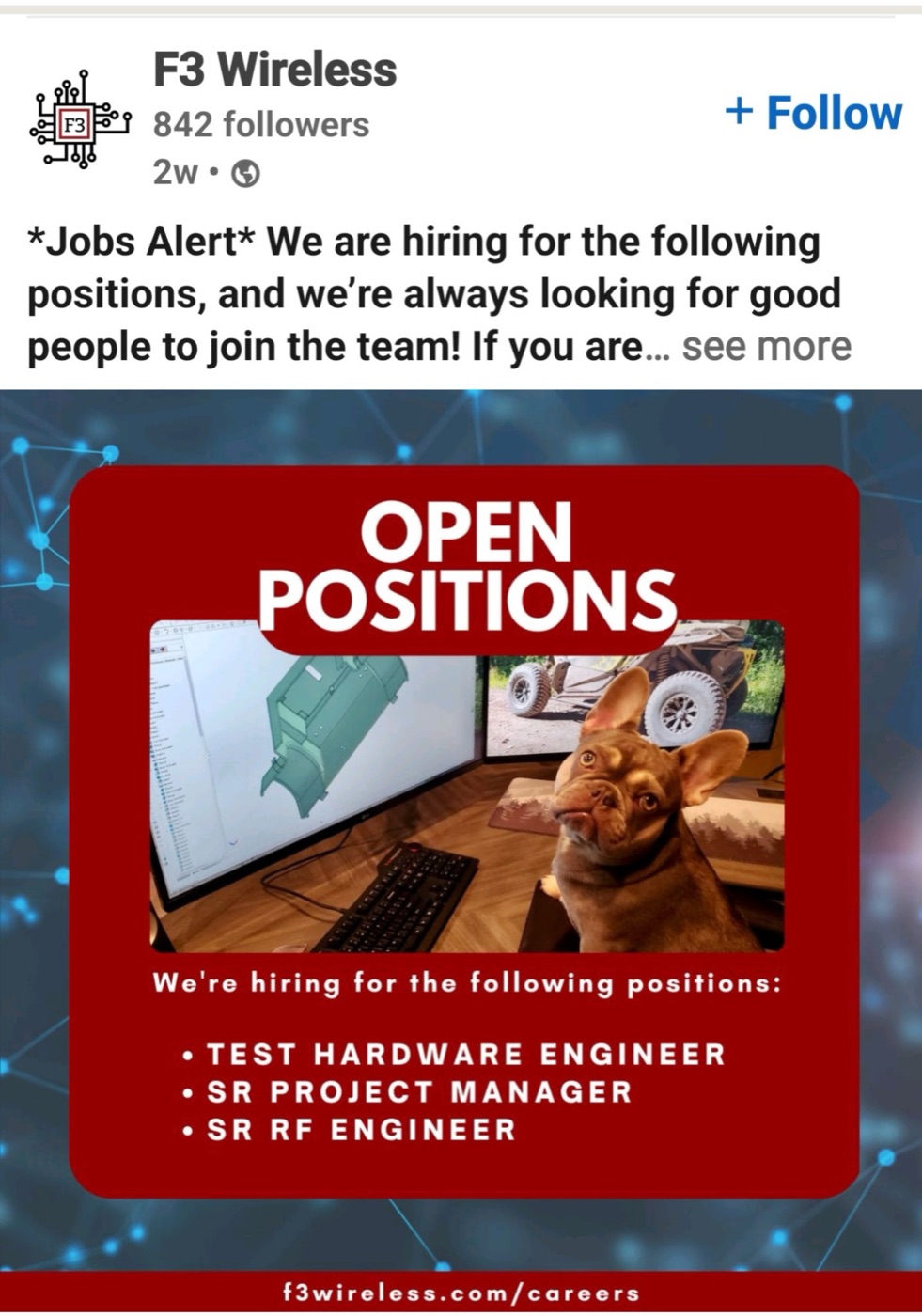 Xena on the F3 Wireless careers post