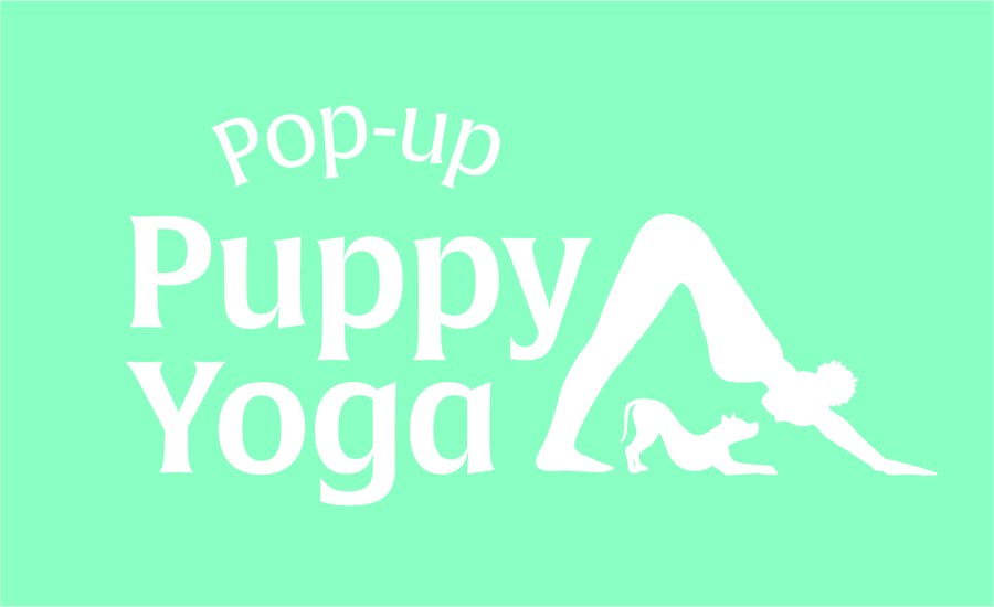 Pop-up Puppy Yoga