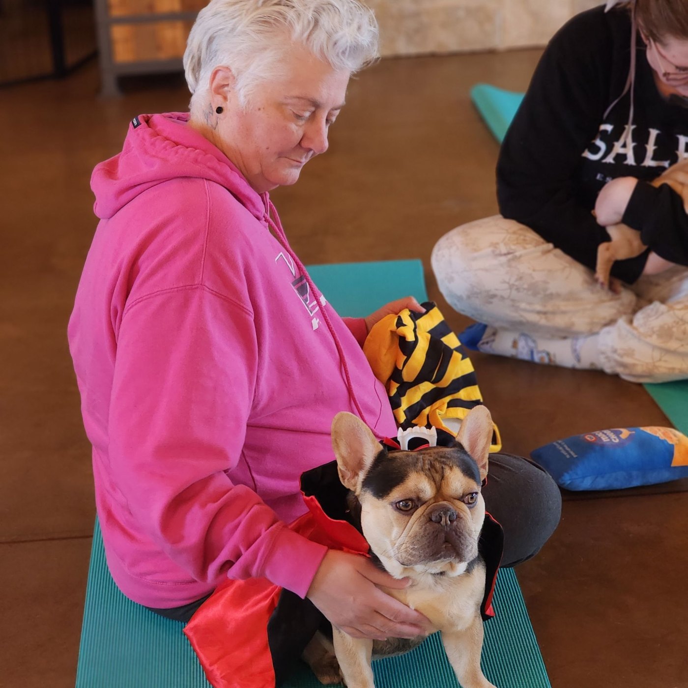 Puppy yoga with Forever Frenchies