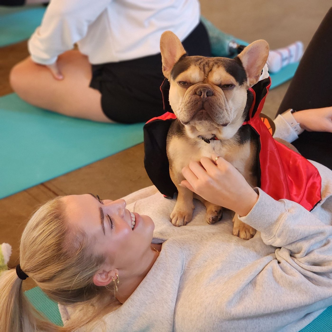 Puppy yoga with Forever Frenchies