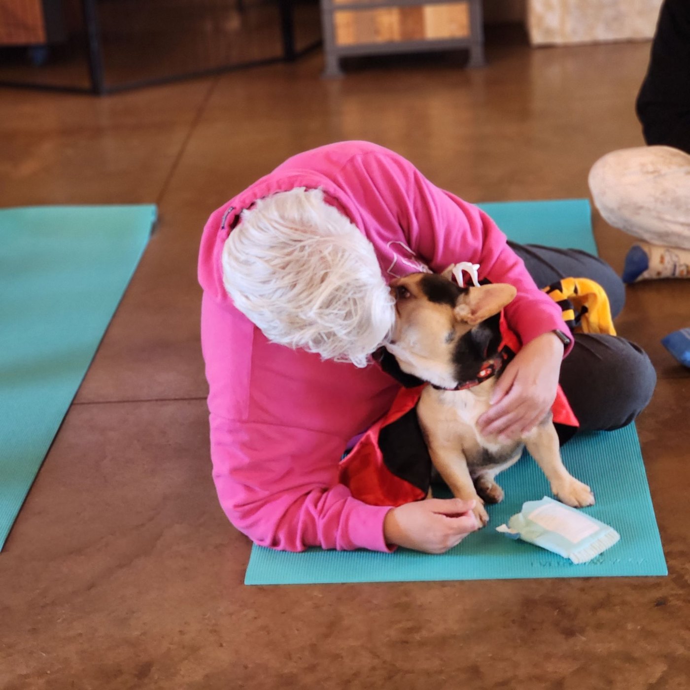 Puppy yoga with Forever Frenchies