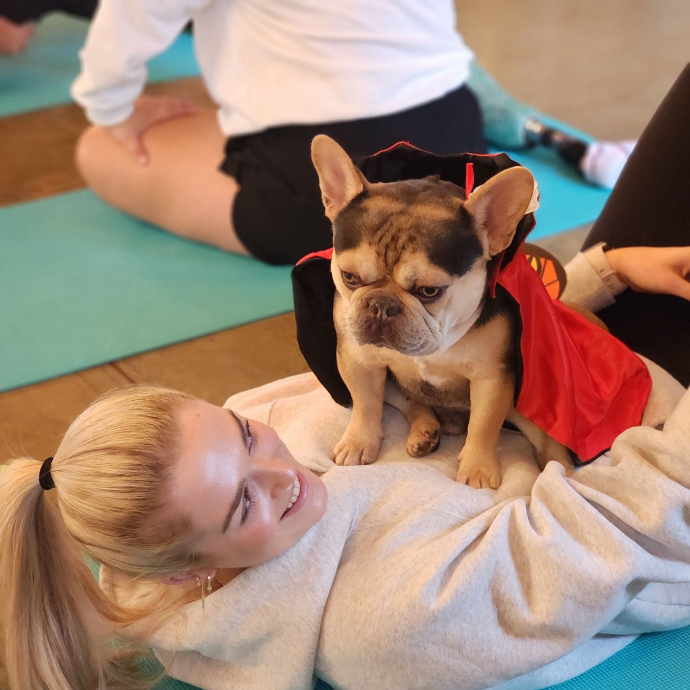 Puppy yoga with Forever Frenchies
