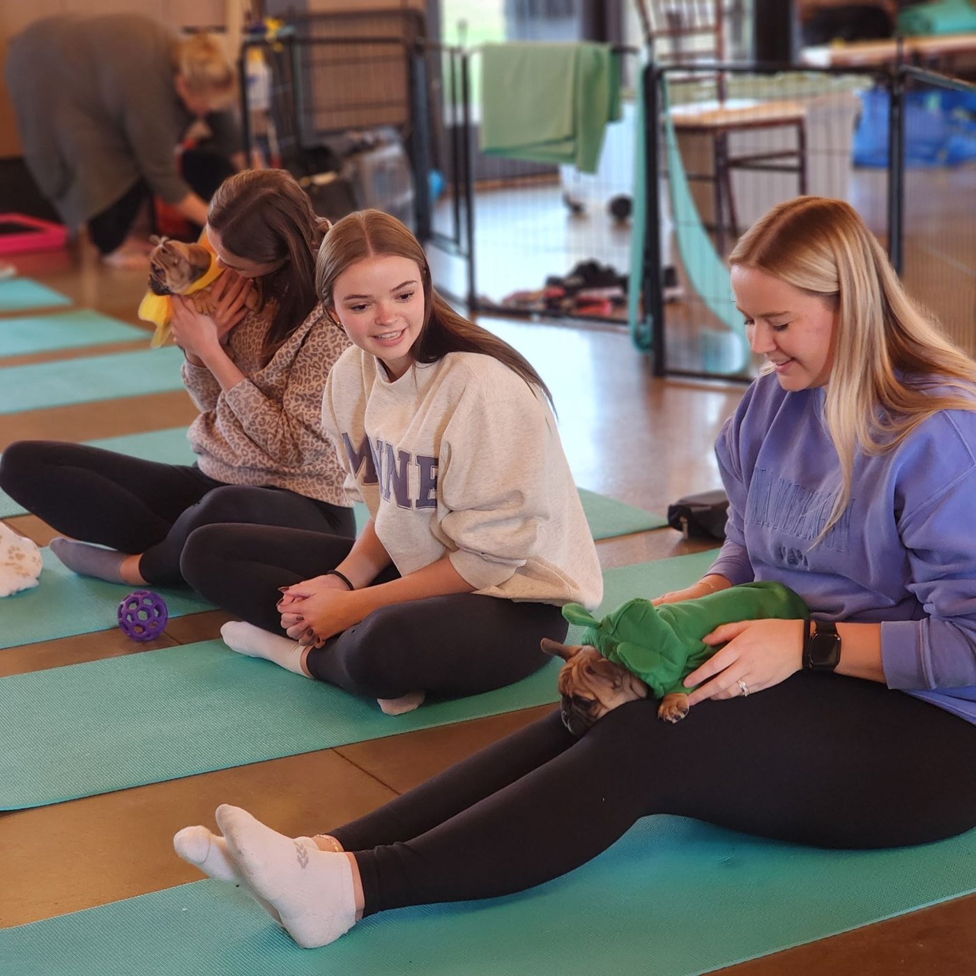 Puppy yoga with Forever Frenchies