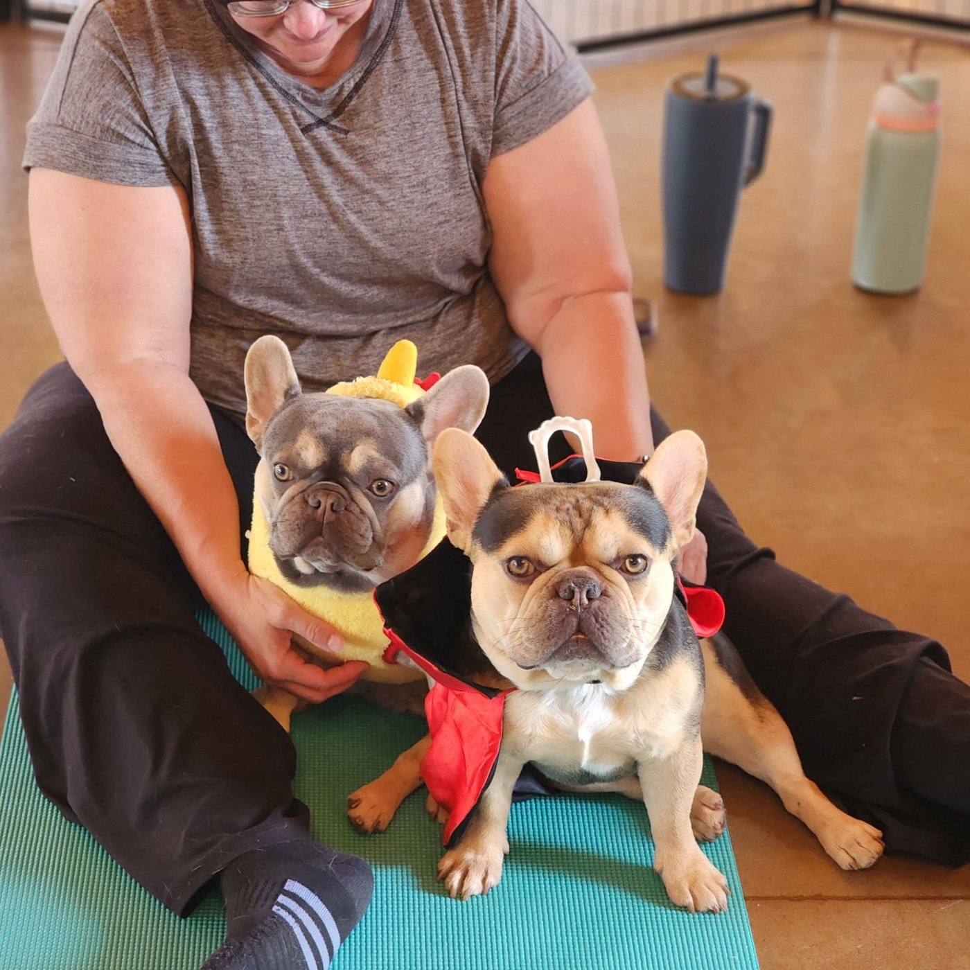 Puppy yoga with Forever Frenchies
